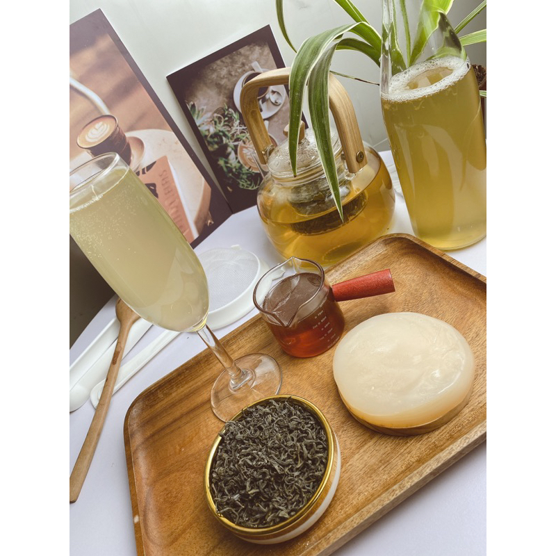 CON GIỐNG JUN KOMBUCHA LÀM TRÀ XANH MẬT ONG LÊN MEN