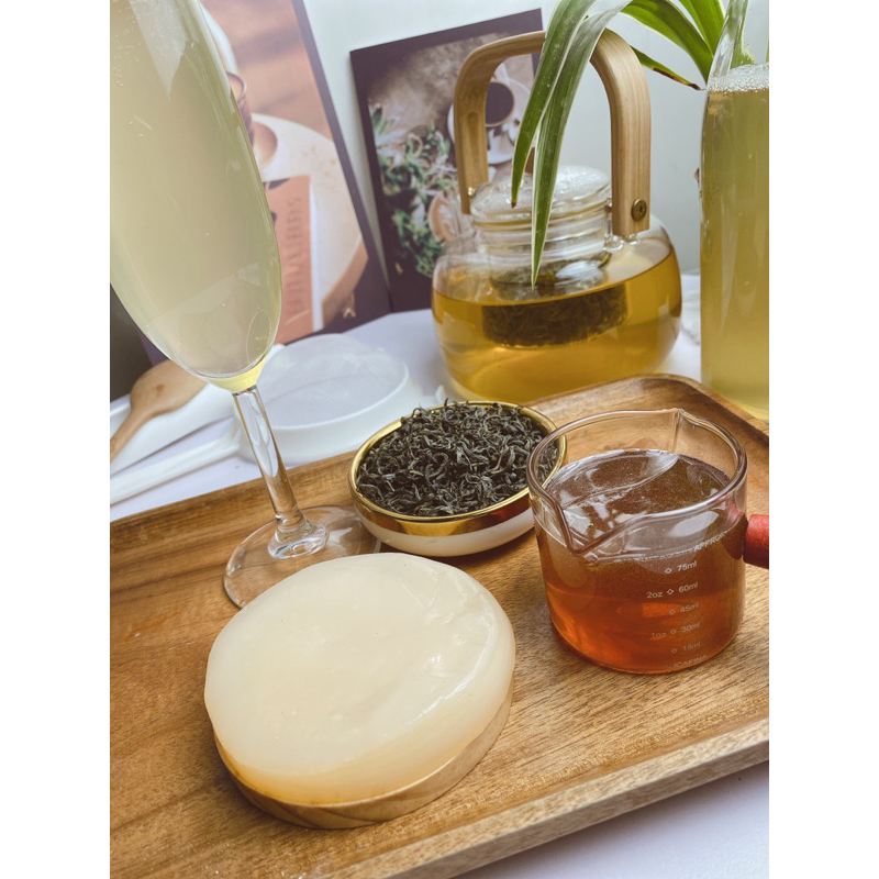 CON GIỐNG JUN KOMBUCHA LÀM TRÀ XANH MẬT ONG LÊN MEN