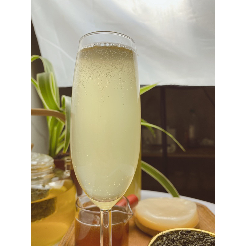 CON GIỐNG JUN KOMBUCHA LÀM TRÀ XANH MẬT ONG LÊN MEN