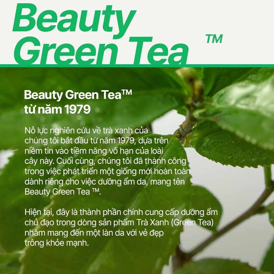 (Quà tặng) Kem dưỡng ẩm trà xanh innisfree Green Tea Seed Hyaluronic Cream 15ml
