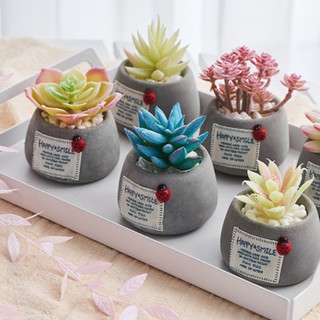 Sen đá giả-chậu sen đá giả để bàn bao gồm cả sen và chậu siêu xinh nhiều mẫu- trưng bày hoặc quà tặng