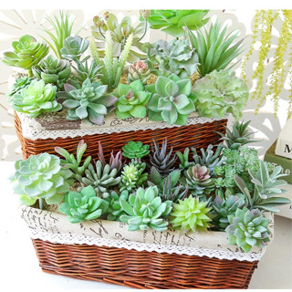 Cây sen đá giả nhiều mẫu đủ màu giống thật bền đẹp, trang trí nội ngoại thất có nhiều size