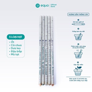 Bút chì mầm cây EQUO có thể trồng được cây hộp 5 cái