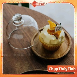 Chụp thủy tinh đế gỗ Mini (10.5×9.5cm) Nai Decor, dùng làm phụ kiện chụp ảnh
