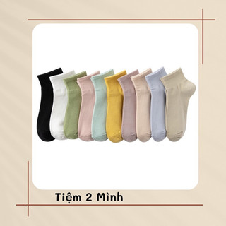 Tất vớ trơn nam nữ cổ trung màu pastel