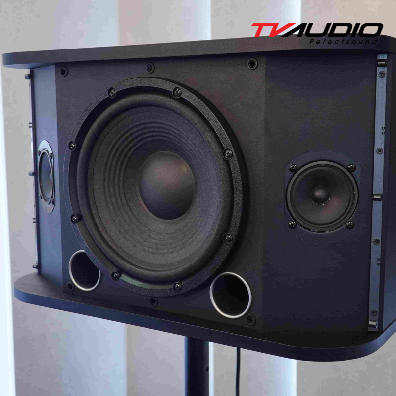 Loa Karaoke Active JBL RM210 PGI