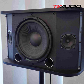 Loa Karaoke Active JBL RM210 PGI