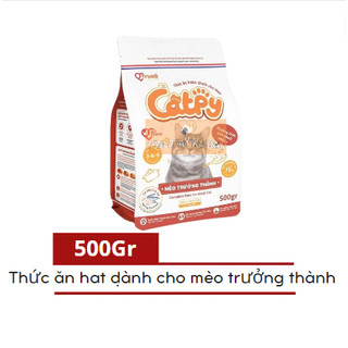 Hạt catpy cho mèo mọi lứa tuổi