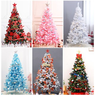Cây thông noel sặc sỡ 6 mẫu noel đang hot nhất năm 2023 cây thông hồng, cây thông trắng cây thông xanh dương 1m2 1m5 1m8
