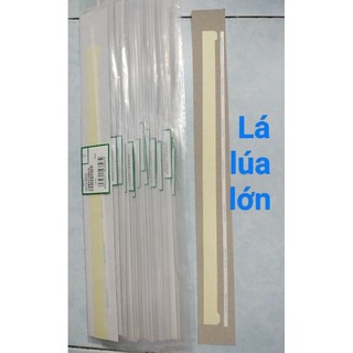 Lá lúa máy photocopy Ricoh-Toshiba
