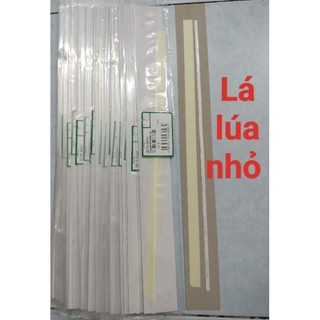 lá lúa máy photocopy Ricoh-Toshiba
