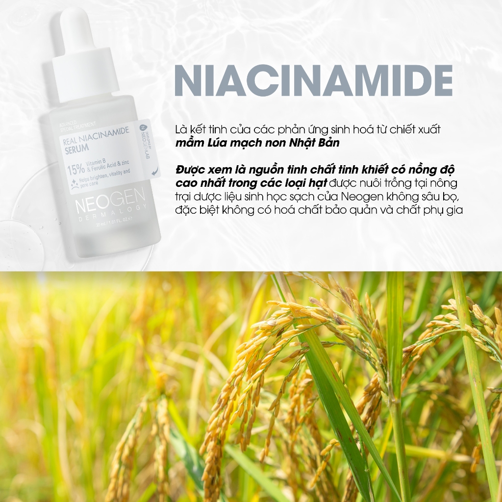 Serum 15% Niacinamide Sinh Học Kiềm Dầu Giảm Mụn Dưỡng Sáng Da Neogen Dermalogy Real Niacinamide Firming 30ml