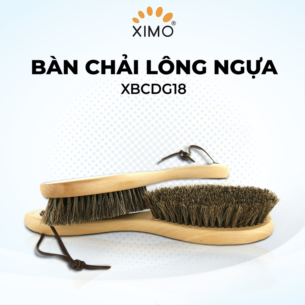 Bàn chải đánh giày XIMO làm từ lông ngựa linh hoạt giúp không bị bẩn tay (XBCDG18)
