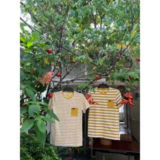 ZENTO - ÁO THUN COTTON ZENTO