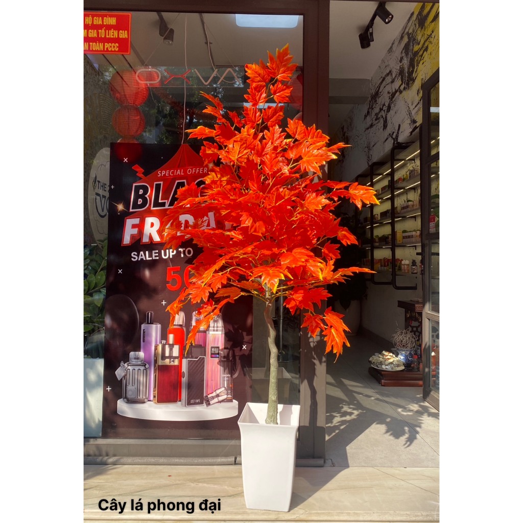 Cây Giả 🌺 Cây Lá Phong Đỏ Lá To