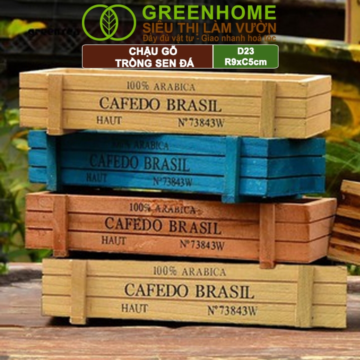 Chậu Gỗ Trồng Sen Đá Greenhome, Cafedo, D23xr9xc5cm, Trang Trí Cây Cảnh Để Bàn, Xương Rồng, Nhiều Màu Để Lựa Chọn