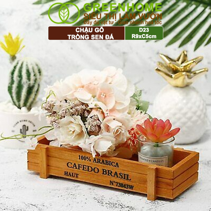 Chậu Gỗ Trồng Sen Đá Greenhome, Cafedo, D23xr9xc5cm, Trang Trí Cây Cảnh Để Bàn, Xương Rồng, Nhiều Màu Để Lựa Chọn