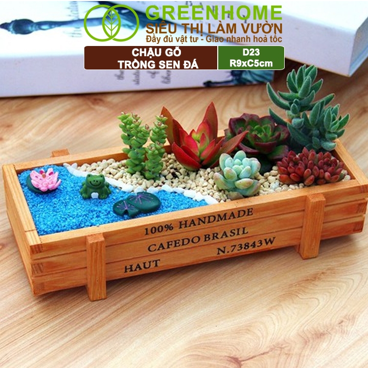 Chậu Gỗ Trồng Sen Đá Greenhome, Cafedo, D23xr9xc5cm, Trang Trí Cây Cảnh Để Bàn, Xương Rồng, Nhiều Màu Để Lựa Chọn