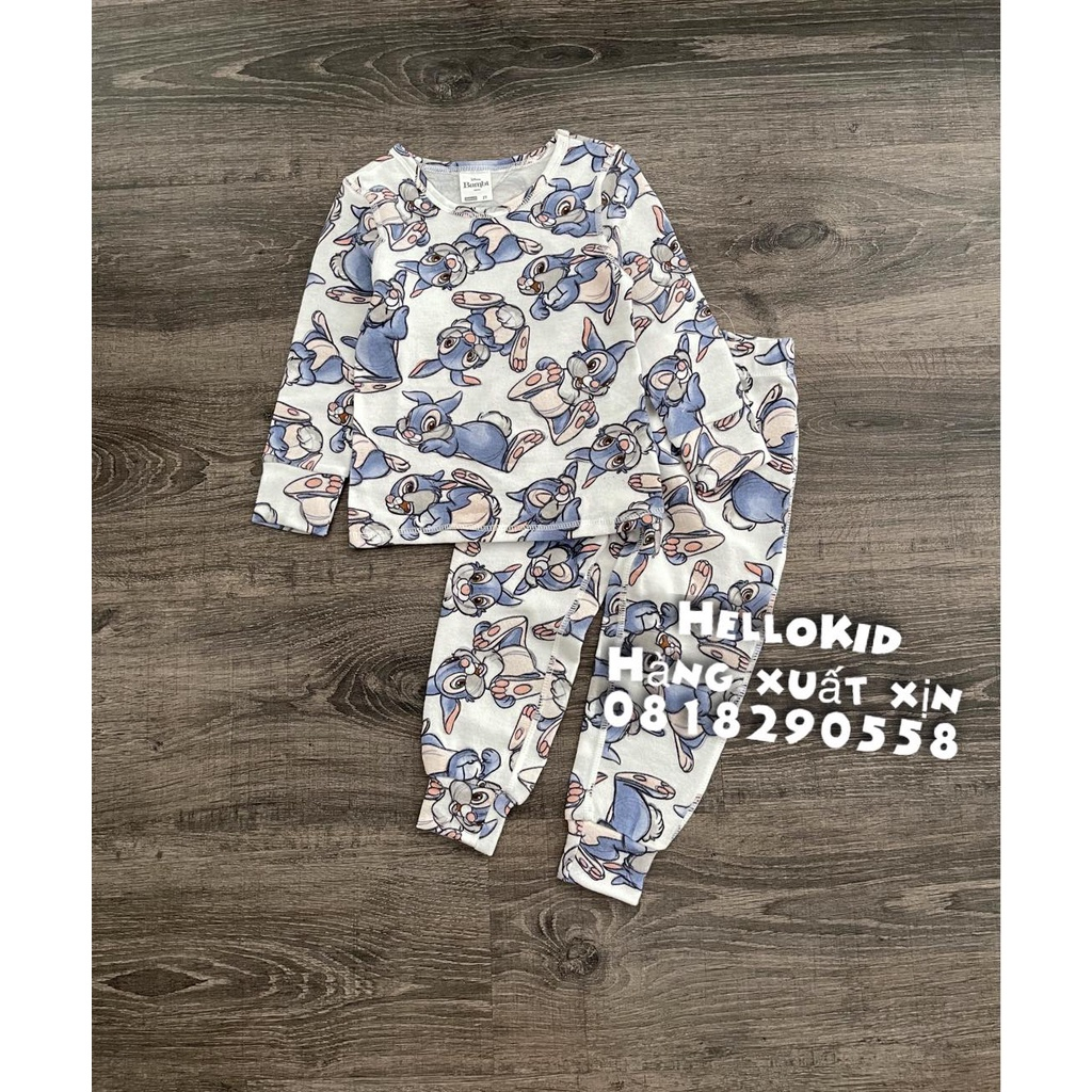 B650 - Bộ PJ nhiều hình thỏ DT bé gái