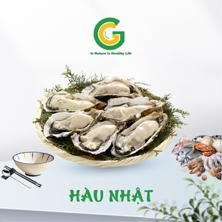 [Freeship HCM] Hàu Nhật Nhập Khẩu Chuyên Sashimi, Nướng Siêu Ngon