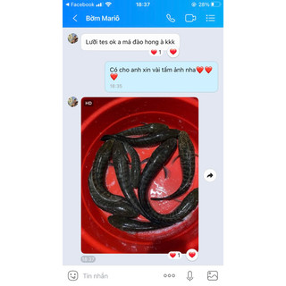 Lưỡi câu cá lóc