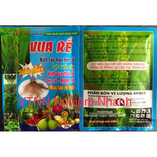 Vua rễ kích cây mau bén rễ