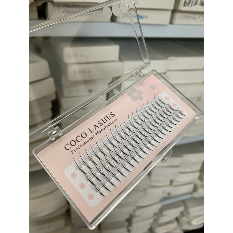 Mi fan trụ Katun