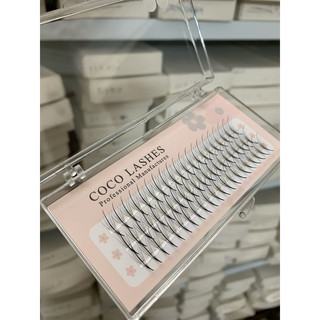 Mi fan trụ Katun