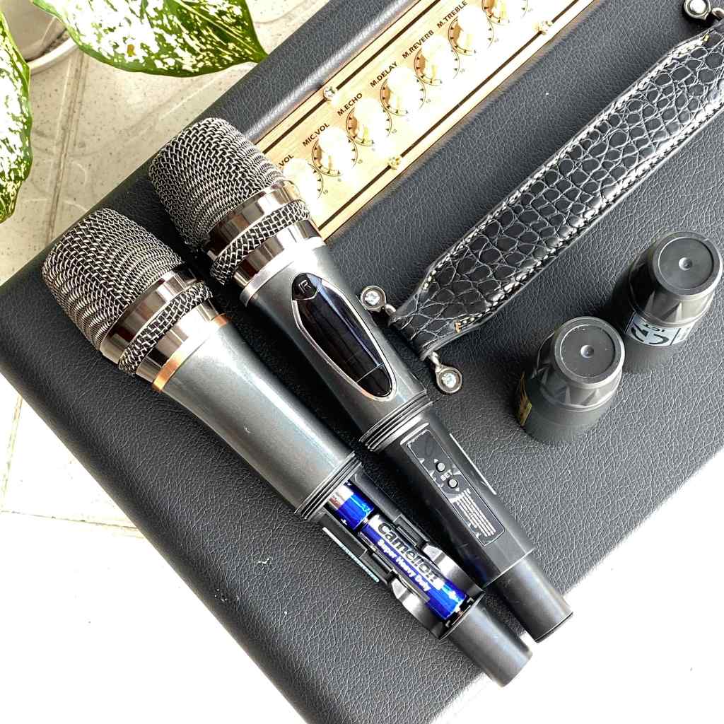 Loa Di Động MTMAX DK01 – Loa Xách Tay Công Suất Lớn, Kèm 2 Micro Cao Cấp, Bass Đôi 16cm