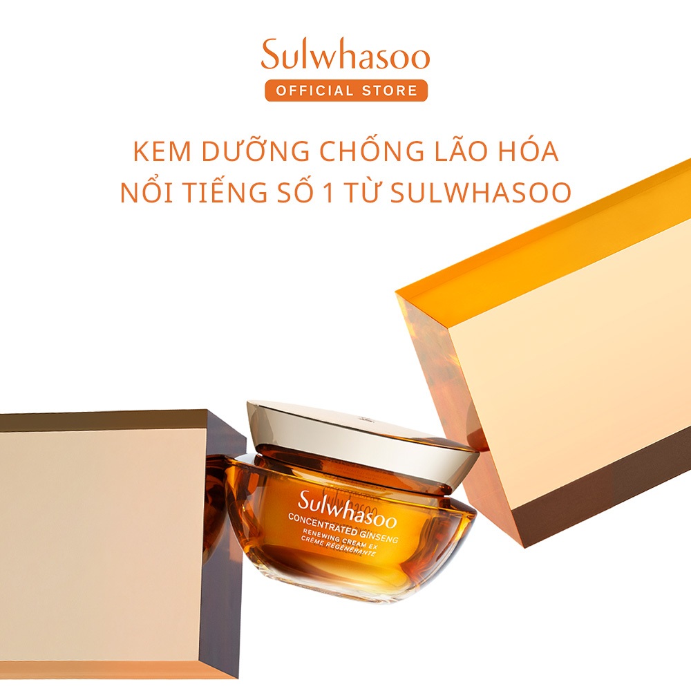 Kem dưỡng nhân sâm giúp da đàn hồi 5ml - Sulwhasoo Concentrated Ginseng Renewing Cream EX 5ml