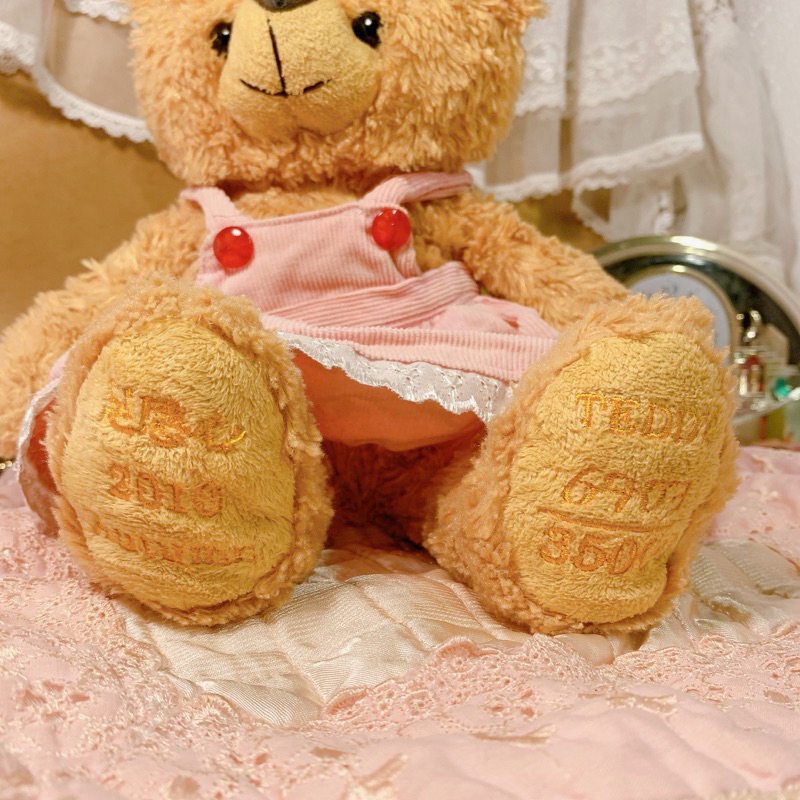 Gấu bông năm 2010 teddy thú nhồi bông đồ chơi dễ thương