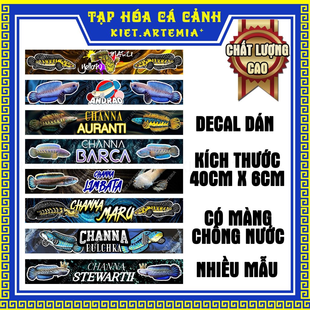 Decal Dán Bể Cá Lóc Cảnh, Trang Trí Bể Cá Cho Cá Lóc Cảnh Chuyên Nghiệp