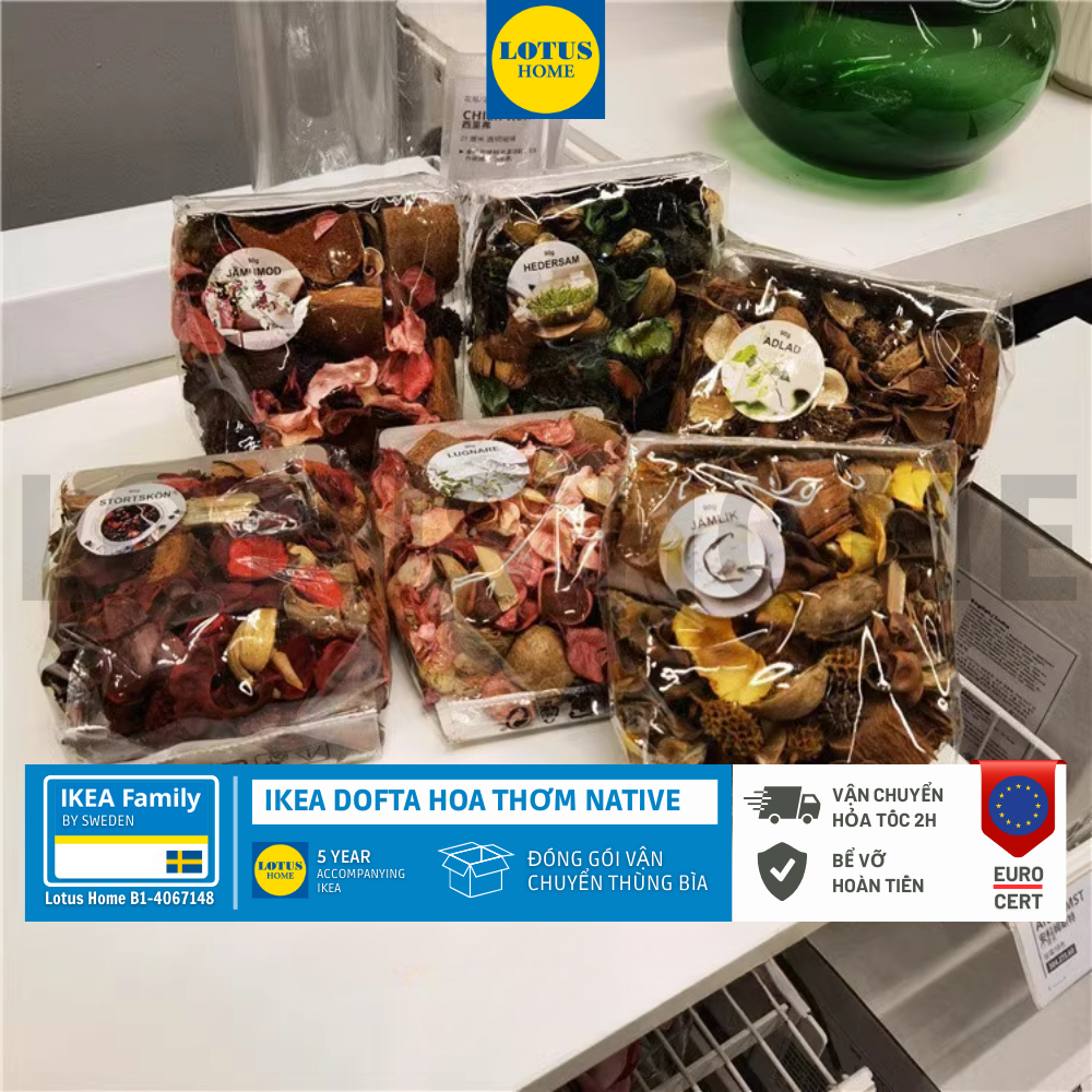 IKEA hoa khô thơm nhà IKEA DOFTA hương thơm thực vật, hoa nhân tạo