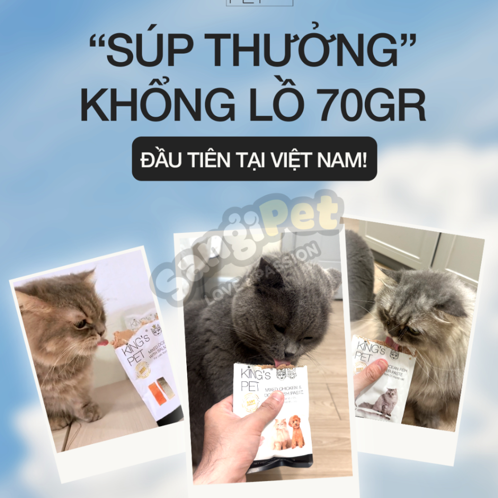 Pate King Pet gói 70gr siêu tiện lợi, Pate King's Pet dạng túi nhỏ