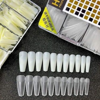 Móng giả tập sơn tập vẽ nail