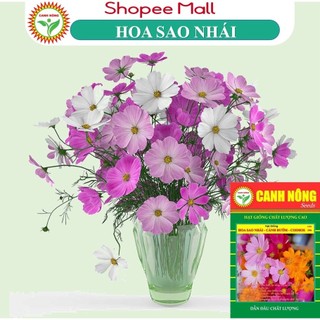  Hạt Giống Hoa Sao Nhái Nảy Mầm 99% Đủ Màu Bông To Rất Dễ Trồng (2g~300 Hạt) Hạt Giống CANH NÔNG