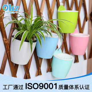 Chậu trồng cây thuỷ sinh - thuỷ canh treo tường có móc treo