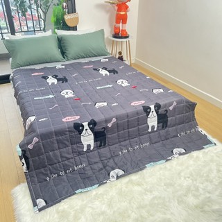 Chăn hè thu cotton poly Cosset bedding chần bông 2 lớp