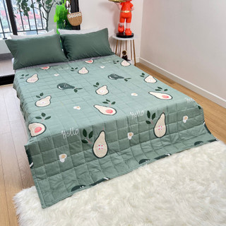 Chăn hè thu cotton poly Cosset bedding chần bông 2 lớp