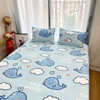 Chăn hè thu cotton poly Cosset bedding chần bông 2 lớp