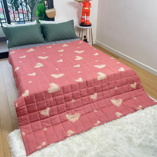 Chăn hè thu cotton poly Cosset bedding chần bông 2 lớp