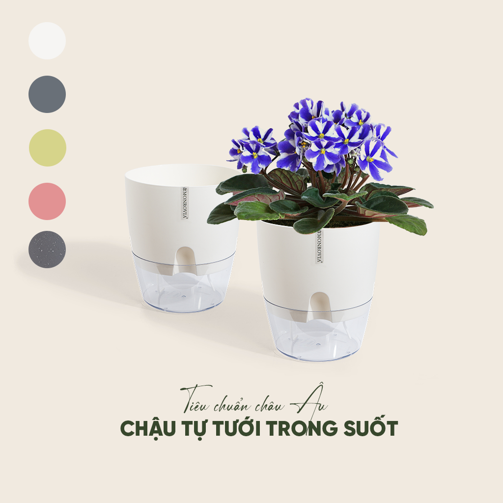 Chậu trồng cây tự tưới thông minh Monrovia, để bàn, trang trí trong nhà, bàn làm việc, sang trọng, Tiêu Chuẩn Châu Âu