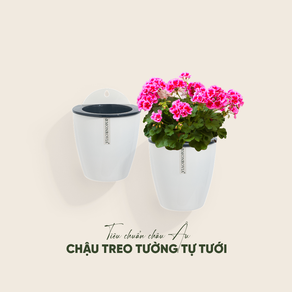 Chậu tự tưới treo tường Monrovia, treo hoa ban công, trong nhà, sang trọng, tiện lợi, tiêu chuẩn châu Âu