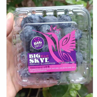 Việt quất tươi peru hộp 125g