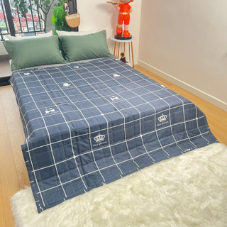 Chăn hè thu cotton poly Cosset bedding chần bông 2 lớp