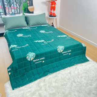 Chăn hè thu cotton poly Cosset bedding chần bông 2 lớp
