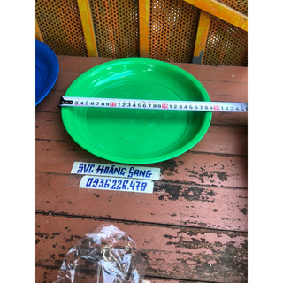Khay hứng phân lồng chim