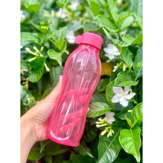 Bình nươc Eco 500ml gen 1