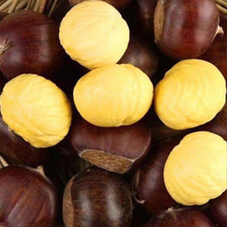 Combo 3kg Hạt dẻ tươi sapa (hạt sống). Hạt to cơm vàng bở