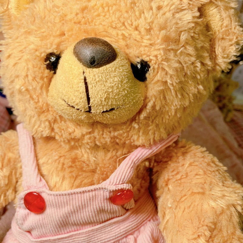 Gấu bông năm 2010 teddy thú nhồi bông đồ chơi dễ thương